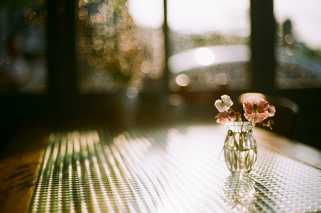 10536644276_5ed438dbe6_z